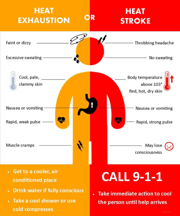 Heat Illness Graphic – End Homelessness Winnipeg